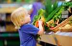 Nachhaltig essen – warum das einer wichtigsten Werte ist, den wir unseren Kindern mitgeben können