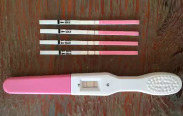 Mit schwanger lange ovulationstest bis wie Ovulationstest