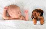 Babys und Haustiere – Sauberkeit