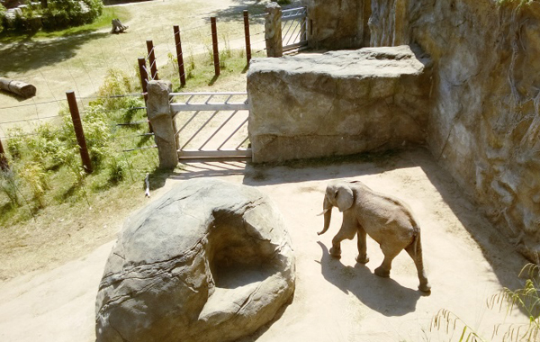 Insider-Tipps Frankfurt