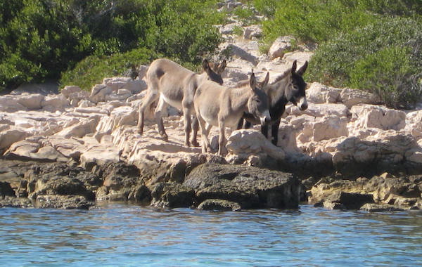 Schwanger in Kroatien