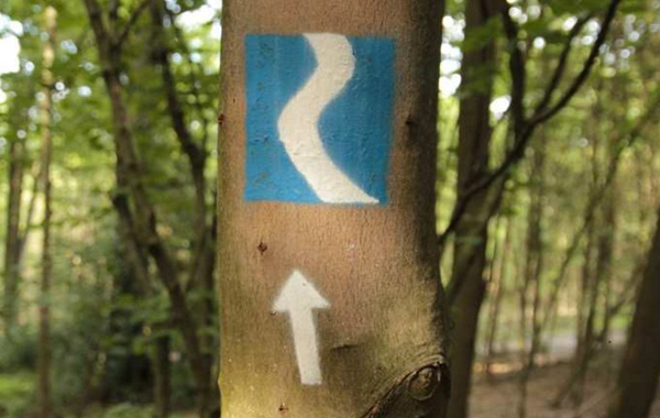 Rheinsteig – Wandern in der Schwangerschaft