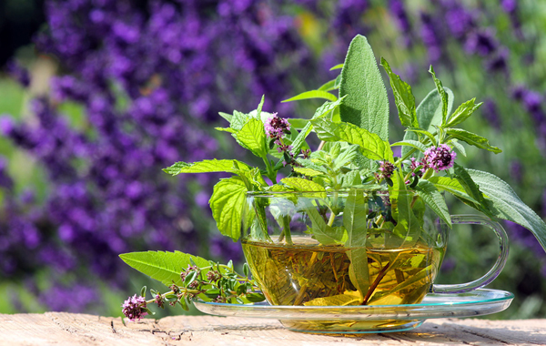 Naturheilkunde f&#252;r Schwangere