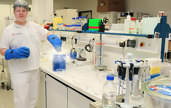 Erfolgreiche Stammzelltransplantation