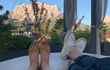 Chill Out mit Blick auf die Zugspitze