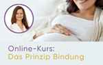 Onlinekurs Das Prinzip Bindung