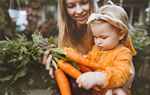 10 Praktische Tipps für ein Nachhaltiges Familienleben im Alltag