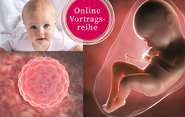 Online-Vortragsreihe: Einblicke in unsere prä- und perinatalen Prägungsräume