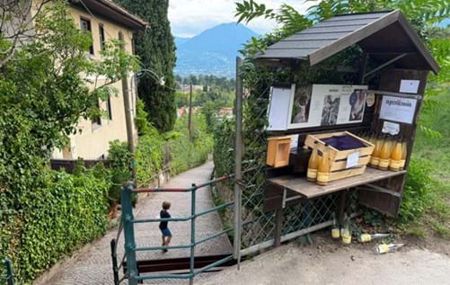 Meran