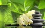 Wellness und Gesundheit