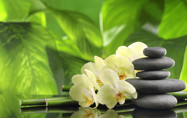 Wellness & Gesundheit